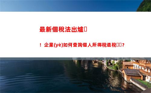 輕松查詢個人所得稅，省時省力，快來試試！